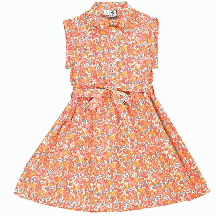 Alice Shirtdress