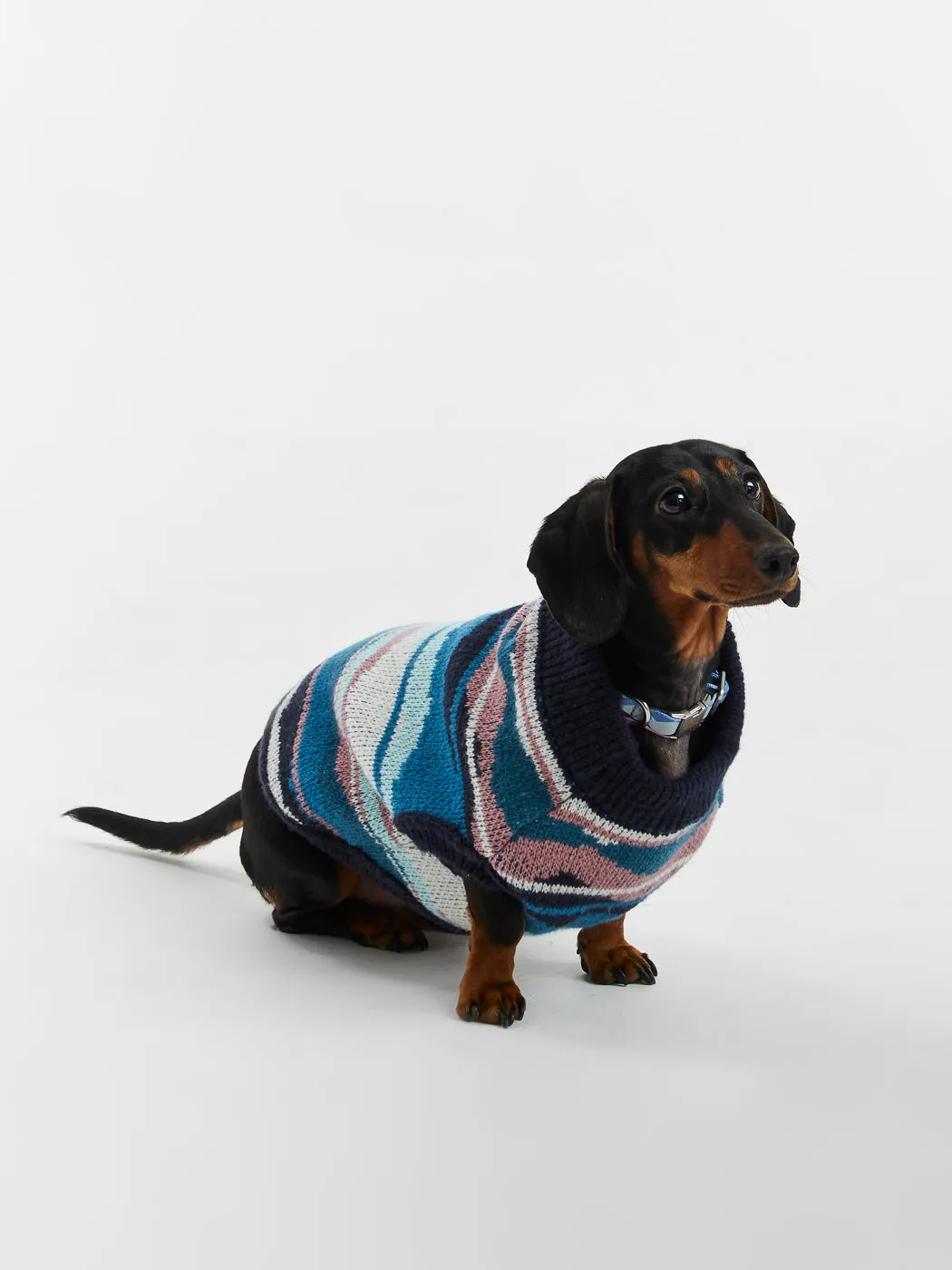 Jude Dogs Knitted Jumper