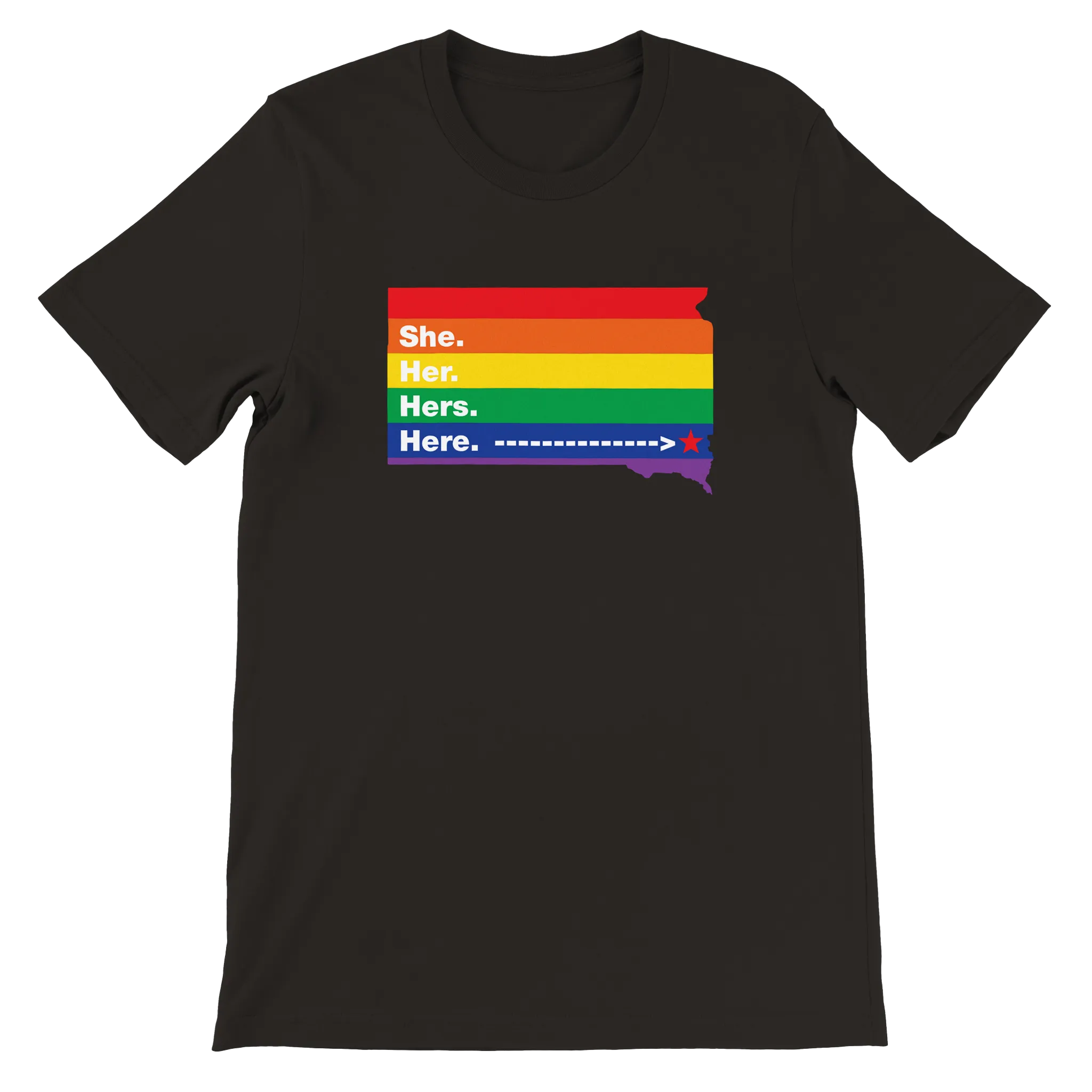 She/Her/Hers/Here SoDak Shirt