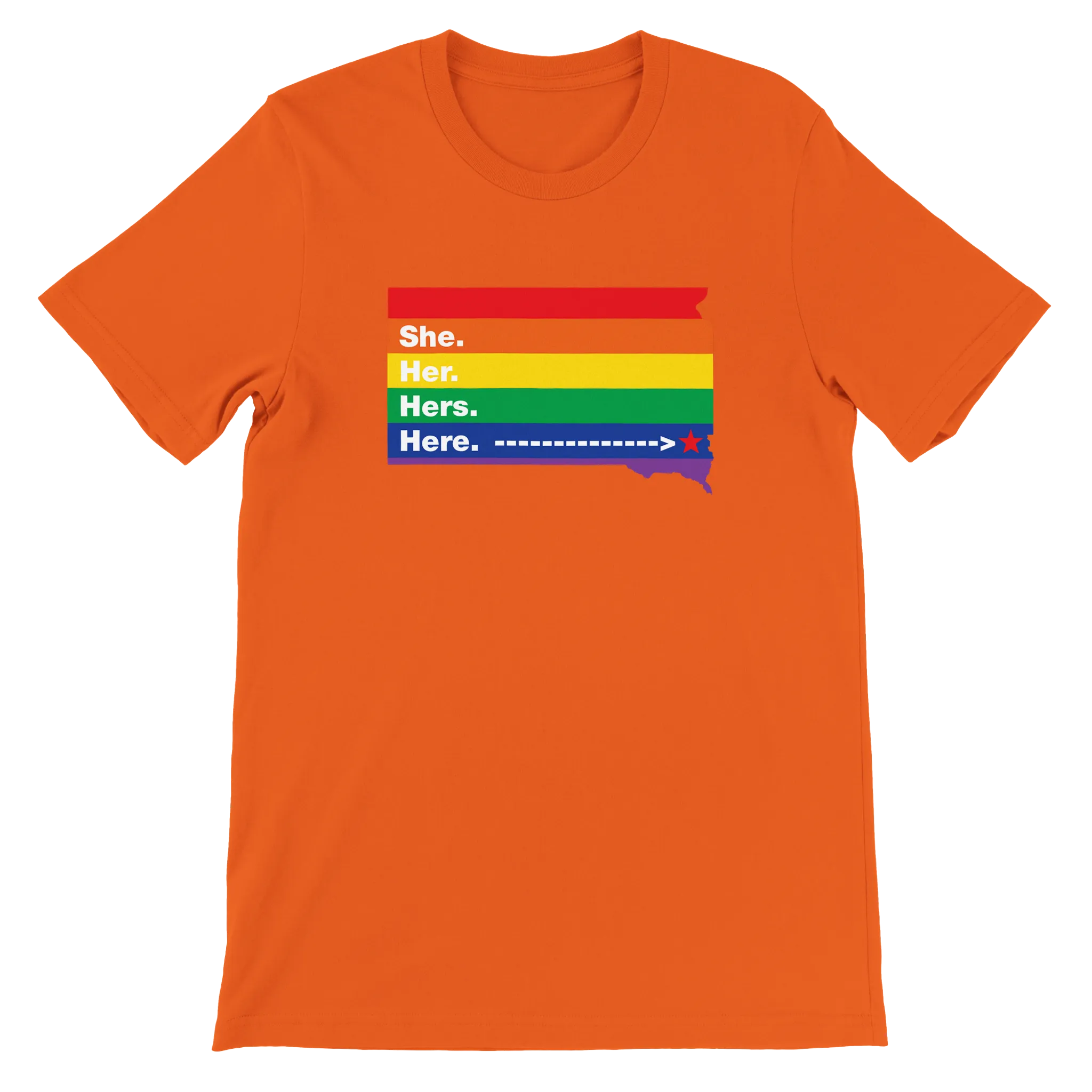 She/Her/Hers/Here SoDak Shirt